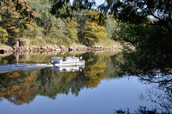 pontoon boat on The Suwannee Riverб═