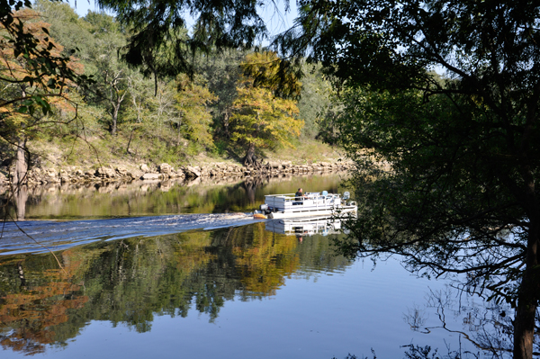 pontoon boat on The Suwannee Riverб═