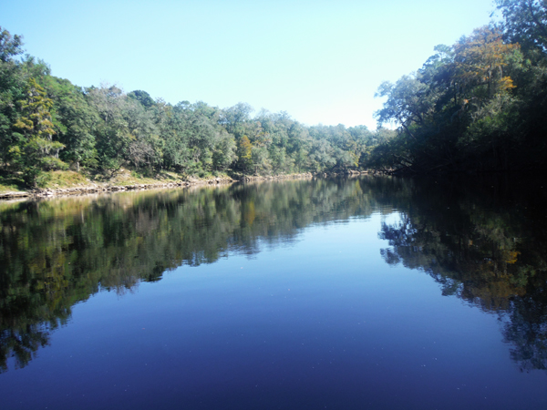 Suwannee River in Mayo, FL