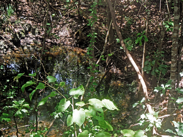 sinkhole