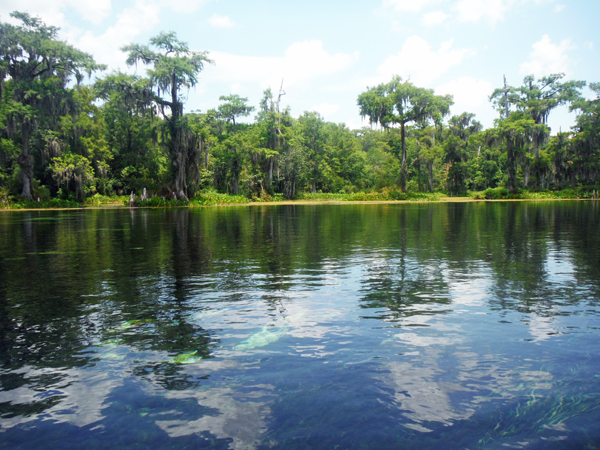 Crystal clear water