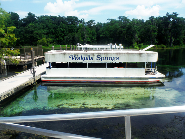 glass bottom boat