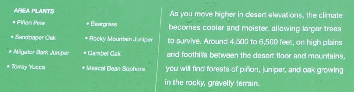 Pinon Juniper sign