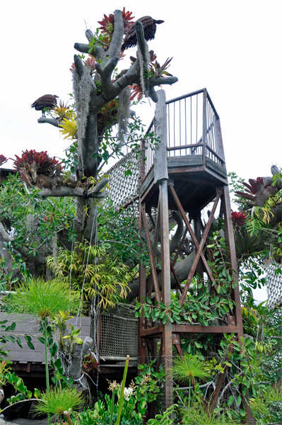 the tree house