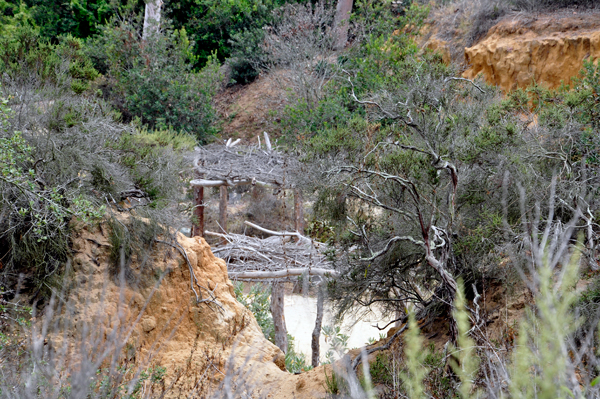 pond on the Native trail