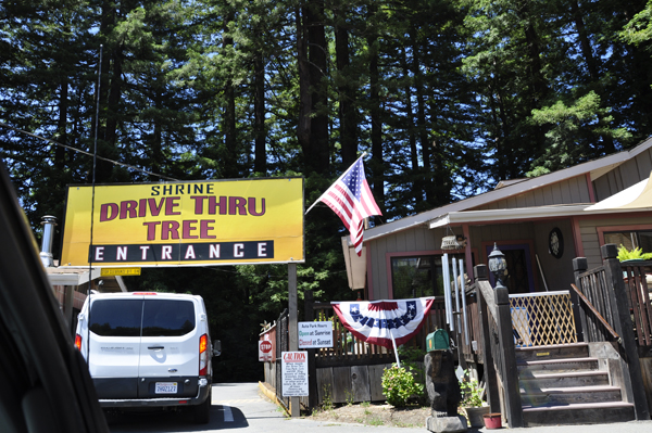 Shrine Drive Thru Tree  entrance