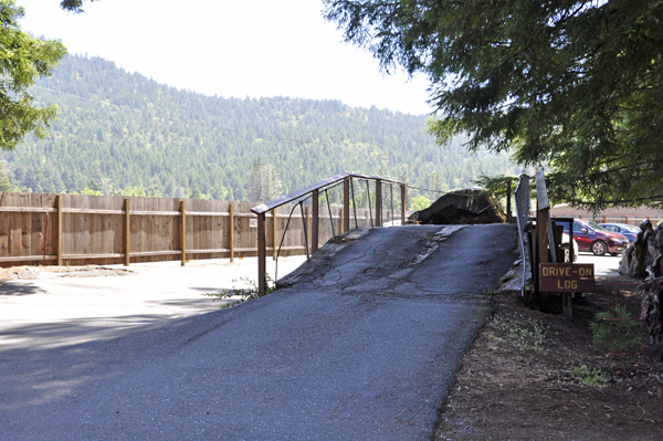 The Drive-On Log path