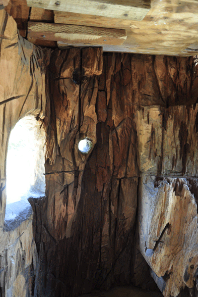 inside the funky tree house