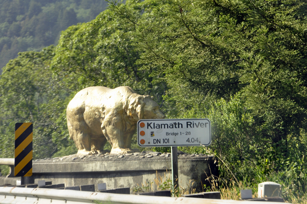 bridge and golden bears