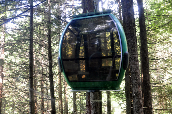 Sky Tram going through the trees