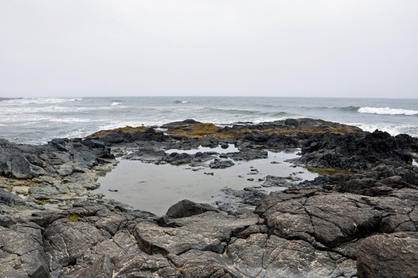 a small tide pool