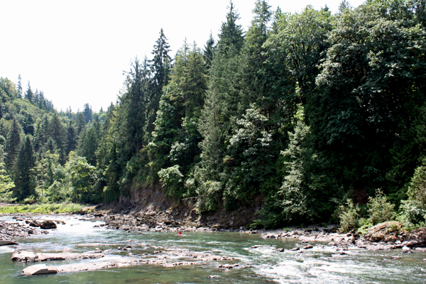 kayakers