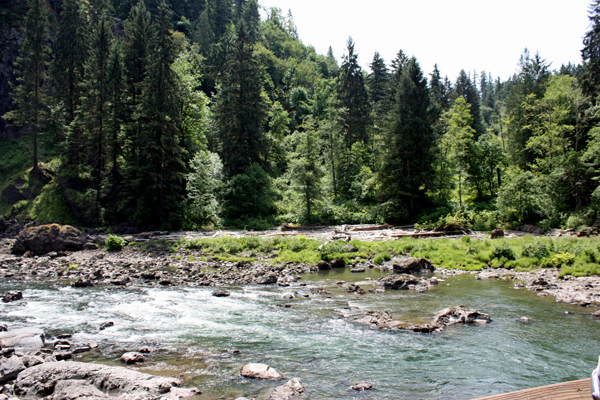 the river at Snowualmie Falls