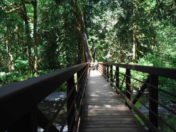 bridge