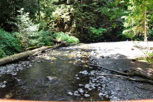 view from the bridge