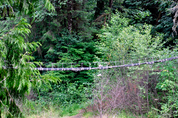 wires