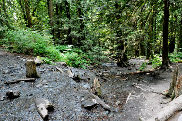 stream
