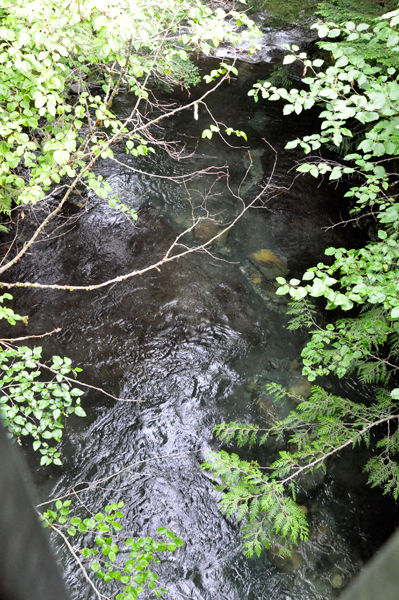 view from covered bridge