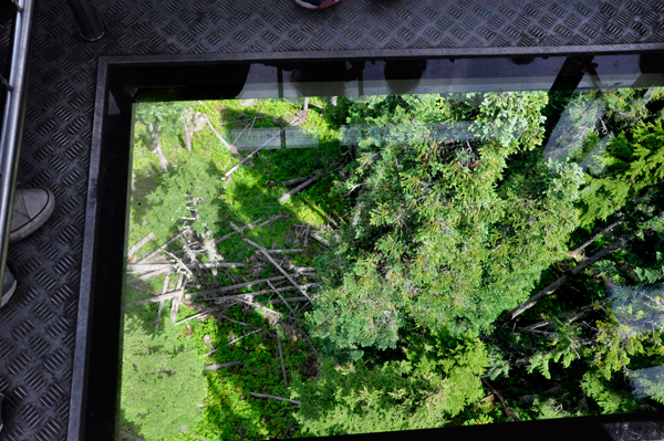 scenery through the glass bottom gondola