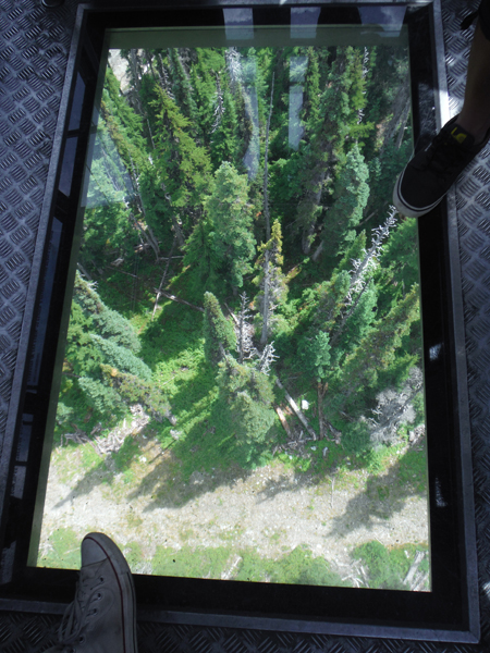 scenery through the glass bottom gondola