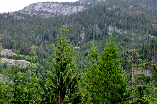 view of the falls that are not there