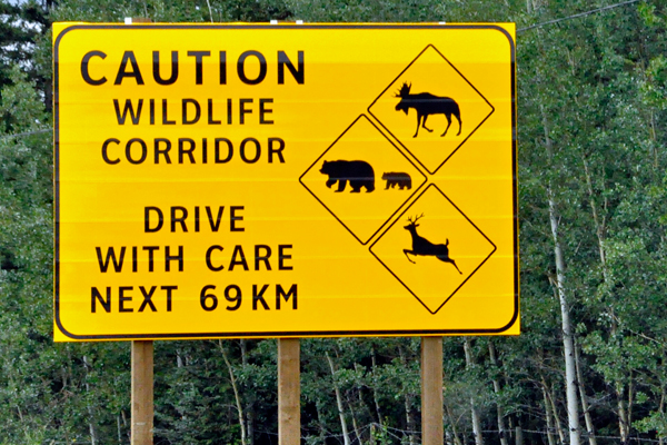 wildlife sign