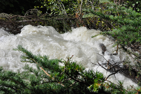 the creek is very strong