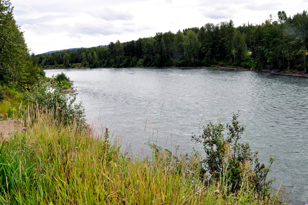 Bulkley River