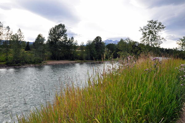 Bulkley River