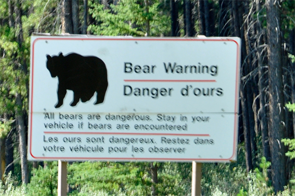 bear warning sign