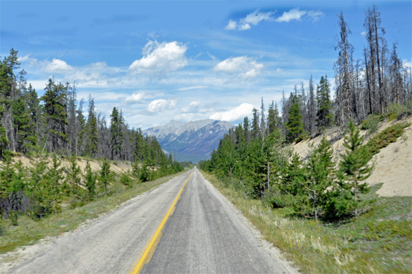 The roads to Snaring River Overflow