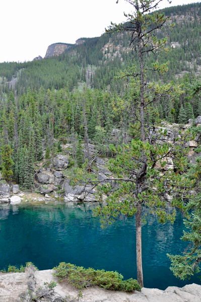 people jumping at Horseshoe Lake 2015