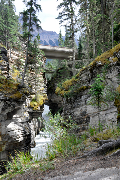 Looking from lower viewpoint uowards towards the falls