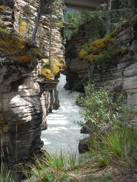 Looking from lower viewpoint uowards towards the falls