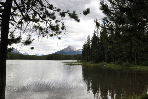 Honeymoon Lake in 2015