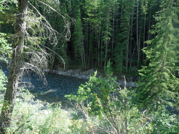 Lussier River