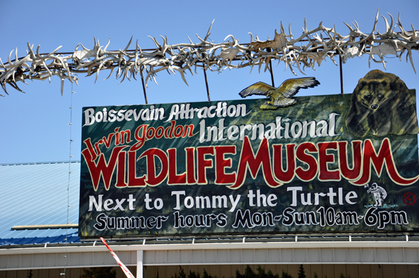 Wildlife Museum and tommy the Turtle sign