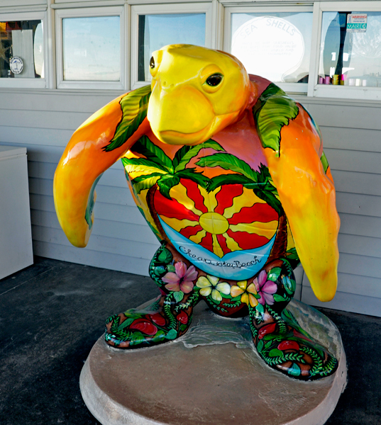 painted turtle