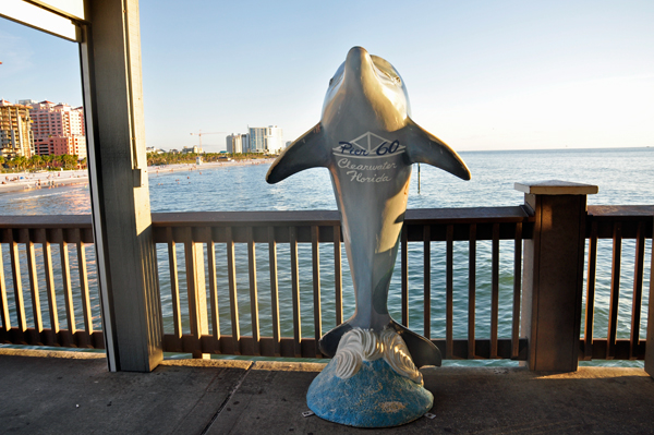 painted dolphin