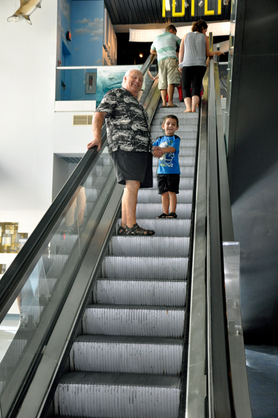 escalator