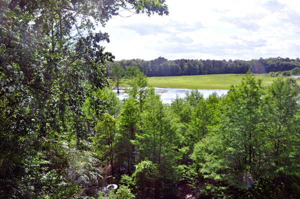 view from the overlook