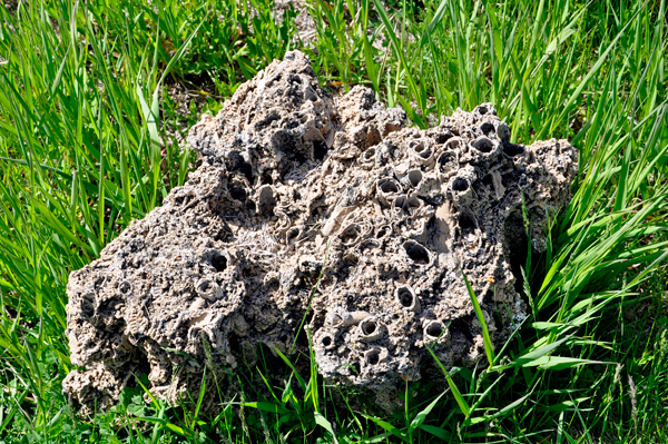 Tufa rock