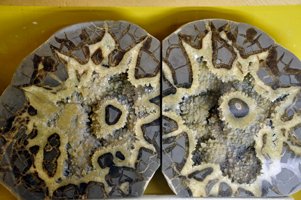 Separian Nodule