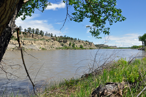 the Yellowstone River