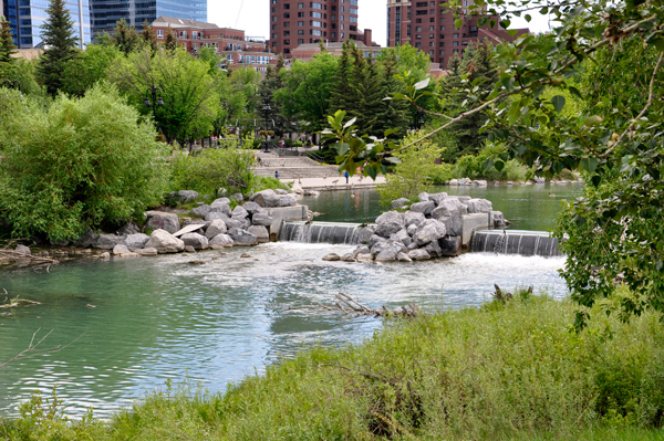 the Bow River