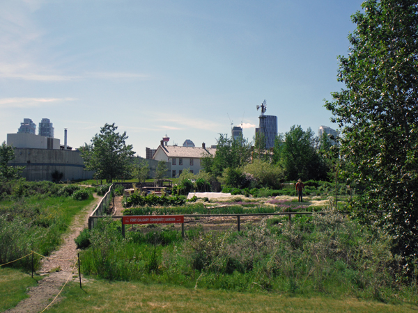 Mountie and garden