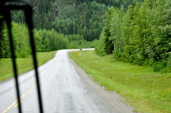 bear way in front of the RV