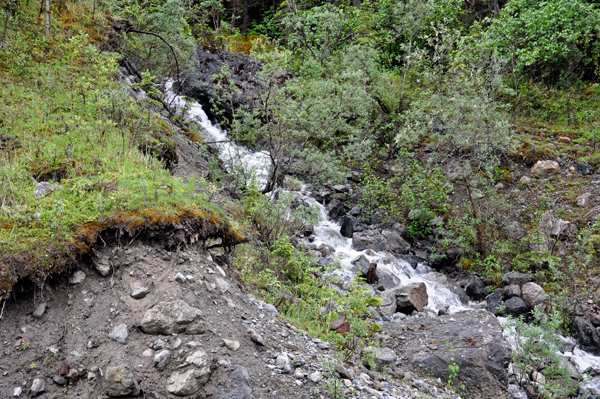 stream from the waterfall