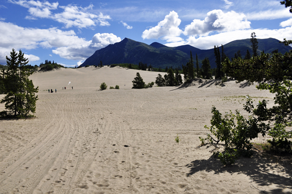 Carcross Desert Dunes
