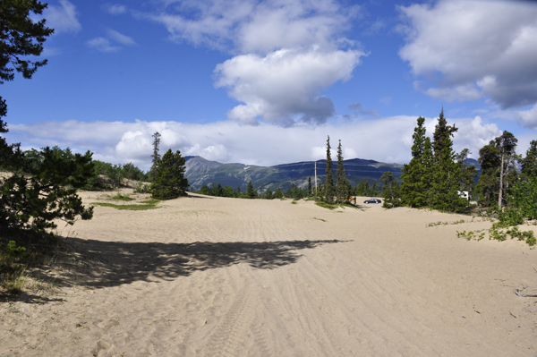 Carcross Desert Dunes